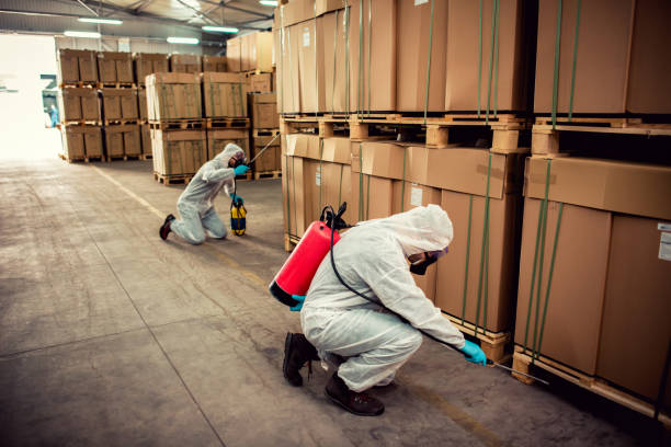 Best Pest Prevention Services  in Lake Dallas, TX