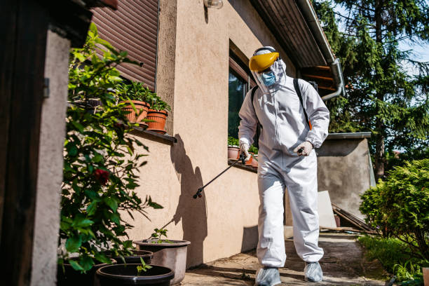 Best Residential Pest Control  in Lake Dallas, TX