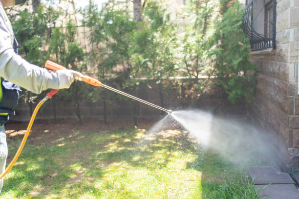 Pest Control Cost in Lake Dallas, TX