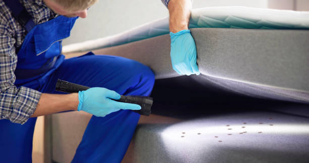 Best Commercial Pest Control Services  in Lake Dallas, TX