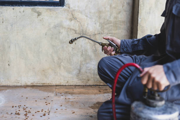 Best Commercial Pest Control Services  in Lake Dallas, TX